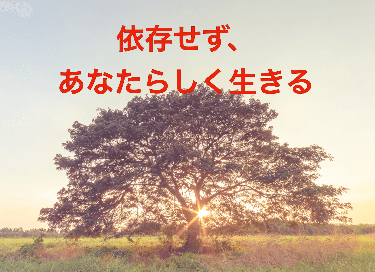 依存しない生き方で自分らしい生き方をするために大切なこと